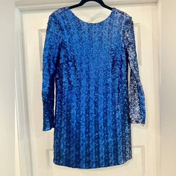 Jaygodfrey Dresses | Nwt Jay Godfrey Laurel Long Sleeve Shift Dress Blue Sequin Size 6 | Color: Blue | Size: 6 | Gnuhkeeef's Closet